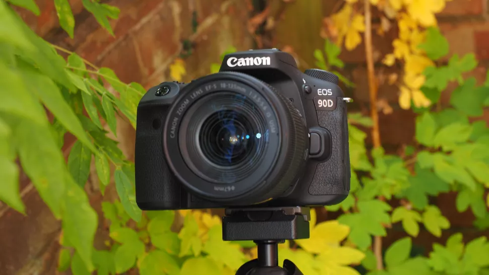 Canon EOS 90D Review 26 Canon EOS 90D