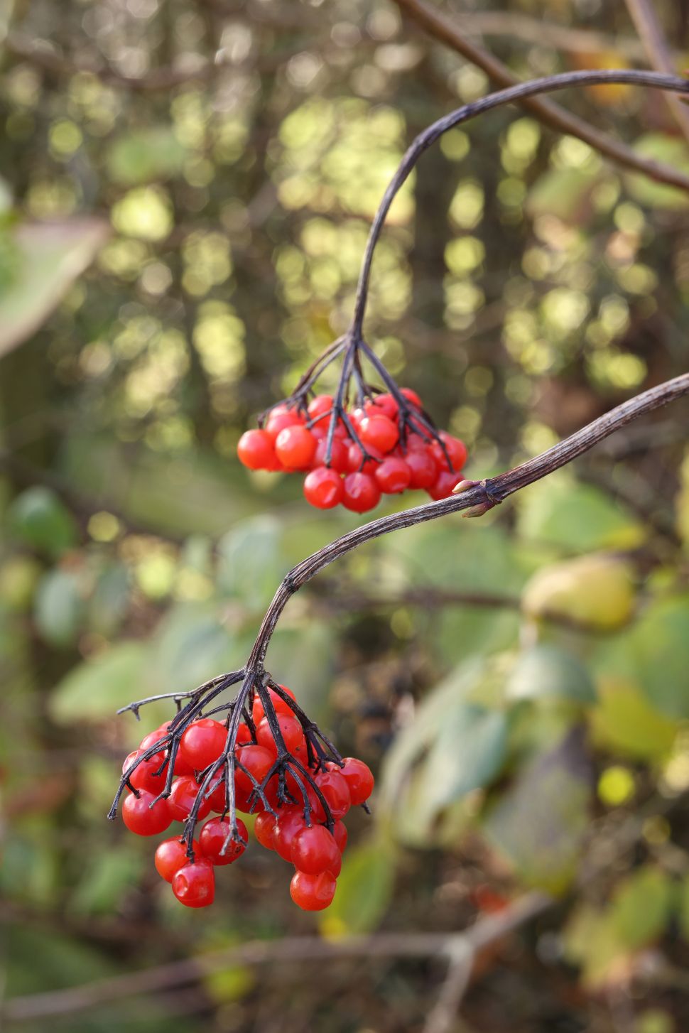 Canon RF 50mm f/1.8 STM Review 11 Canon EOS R5 + Canon RF 50mm f1.8 STM (1-50 seg, f8, ISO 500)