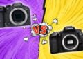 Canon EOS R7 vs Canon EOS 90D