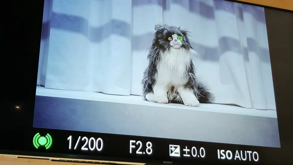 Sony Alpha 6600 Review 12 El AF en tiempo real en acción en la Sony A6600