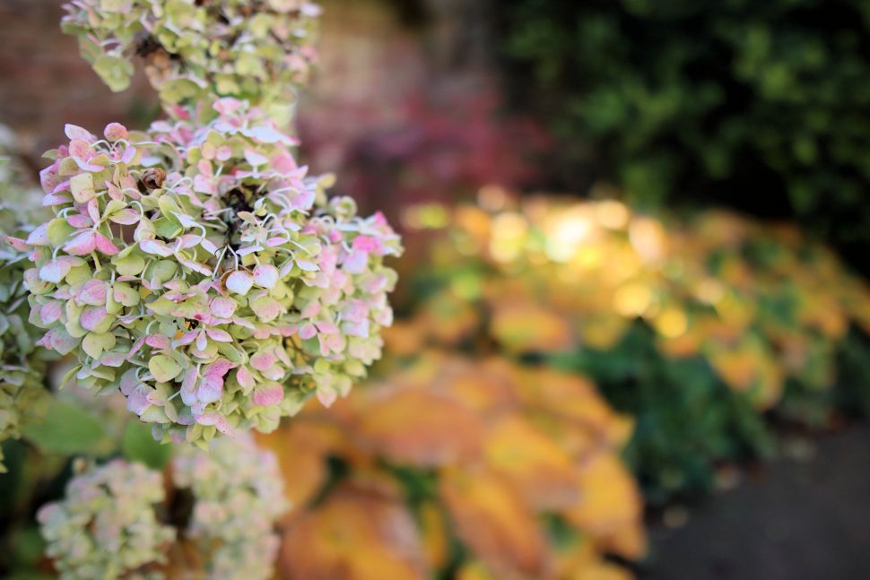 Sigma 16mm F1.4 DC DN Review 8 En distancias de enfoque cortas, la apertura f/1.4 permite una profundidad de campo bastante ajustada, con una buena suavidad en las zonas desenfocadas