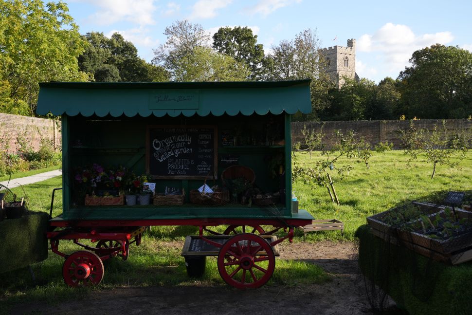 En teoría, un EVF debería ser más WYSIWYG que un visor óptico. Aquí, sin embargo, la A7 IV ha capturado una gama de tonos mucho más amplia de lo que el EVF sugería, especialmente en las sombras