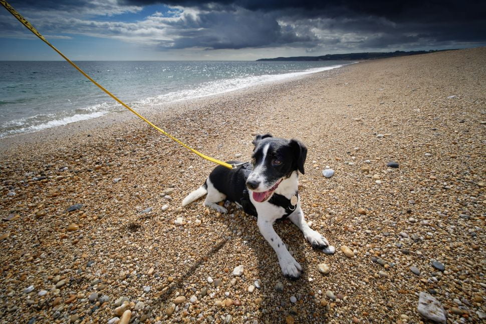 Sony Alpha 6000 Review 9 Foto tomada con la Sony A6000