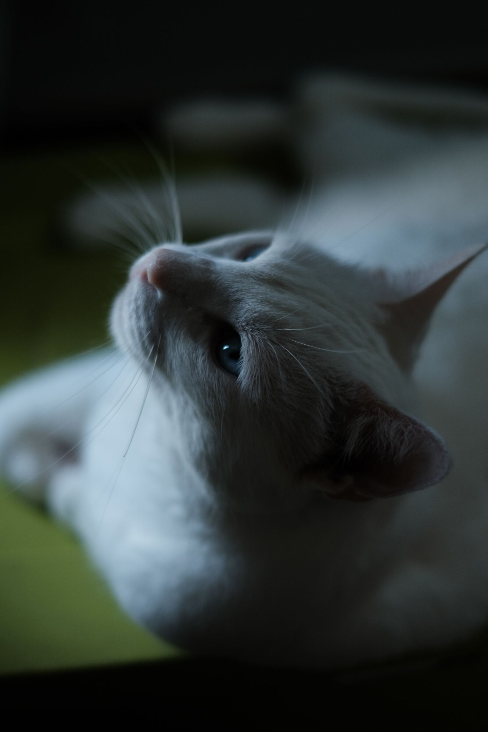 Fujifilm X-T3 + Fujifilm XF 35mm F1.4 R a 35mm f1.4 1-320seg ISO 500