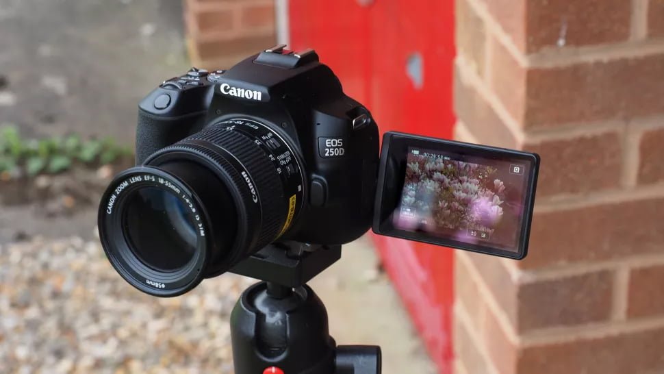 La Canon EOS 250D tiene un AF CMOS de doble píxel que es tan eficaz en el modo Live View que es como usar una cámara sin espejo.