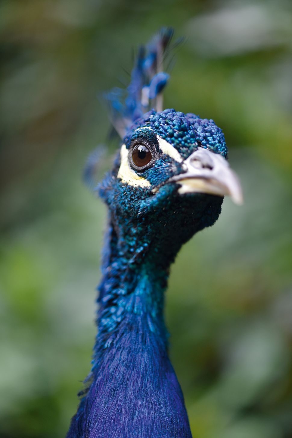 La Nikon D750 captura bien los colores brillantes y siguen pareciendo naturales