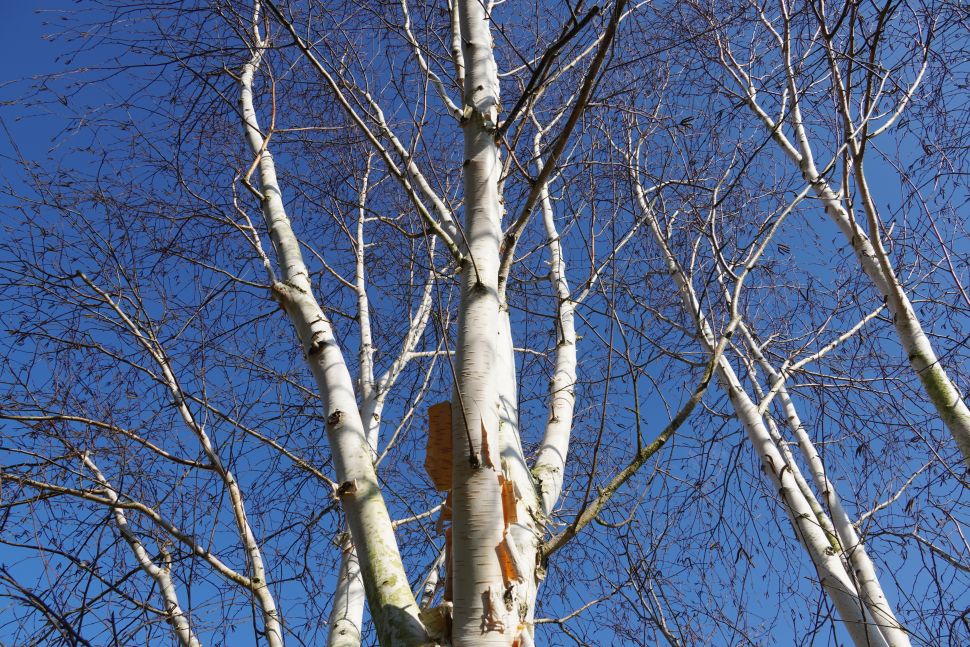 Sony Alpha 6400 Review 12 La reproducción del color es rica y de aspecto natural, y la Sony Alpha A6400 ha conseguido los tonos de este cielo azul.