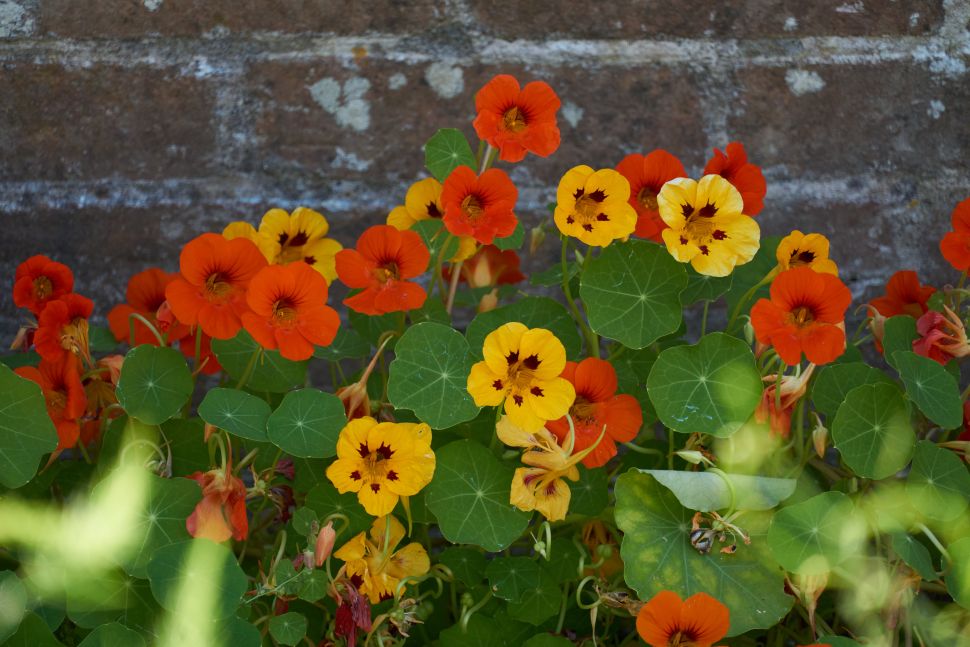 Sony Alpha 6000 Review 12 Los colores de la Sony A6000 son generalmente ricos, vibrantes y de aspecto natural