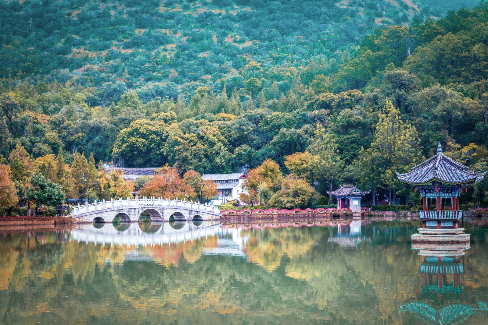 Nikon D850 a 62mm f10 1-40 ISO 200