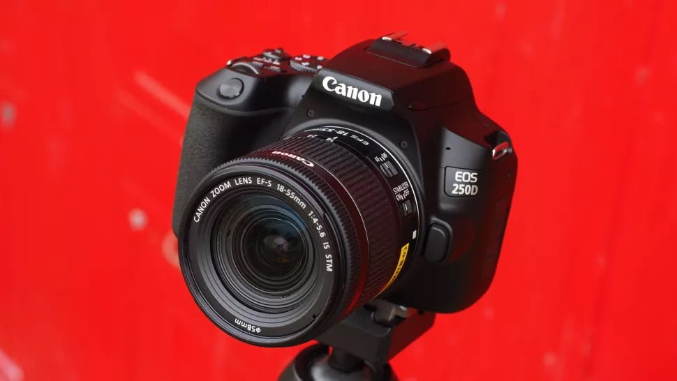 Nos gusta la Canon EOS 250D, pero no es la única cámara de bajo coste para principiantes del mercado. ¿Qué hay de sus rivales?