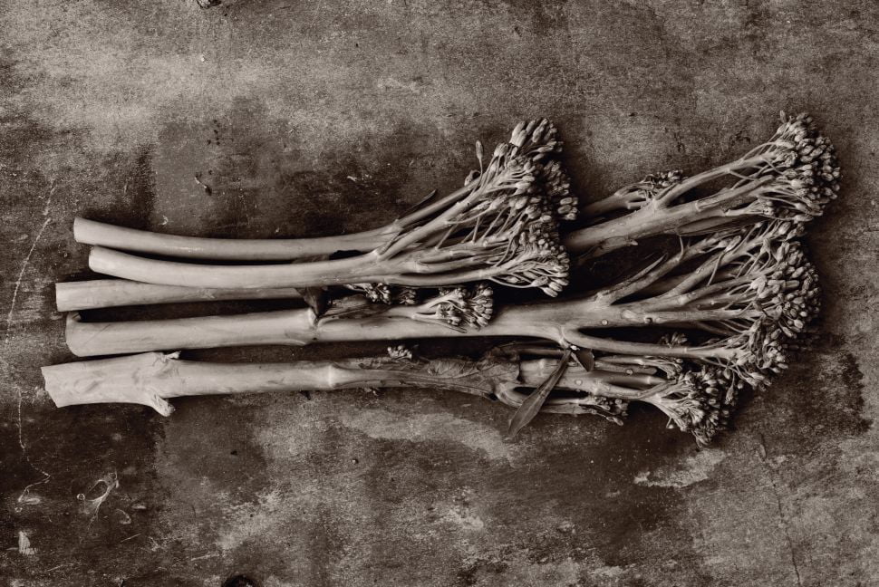 Para esta toma, el control de imagen se ajustó a monocromo con un tono sepia débil y tanto el contraste como la claridad se ajustaron al máximo 