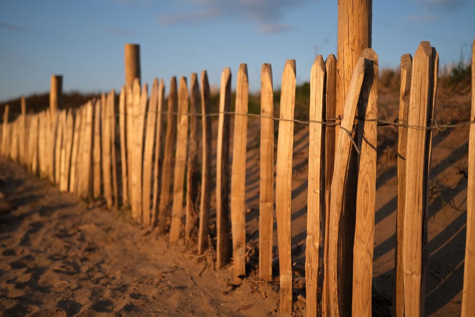 Puedes ver la poca profundidad de campo a f/1.4 en esta toma de una vieja valla de madera - da la apariencia de una cámara de mayor formato. 