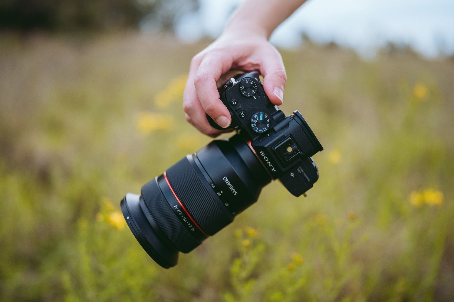 Sony A7III + Samyang AF 24-70mm F2.8 FE