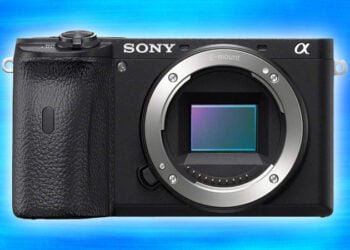 Sony Alpha 6600 Review