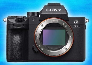 Sony Alpha 7 III Review