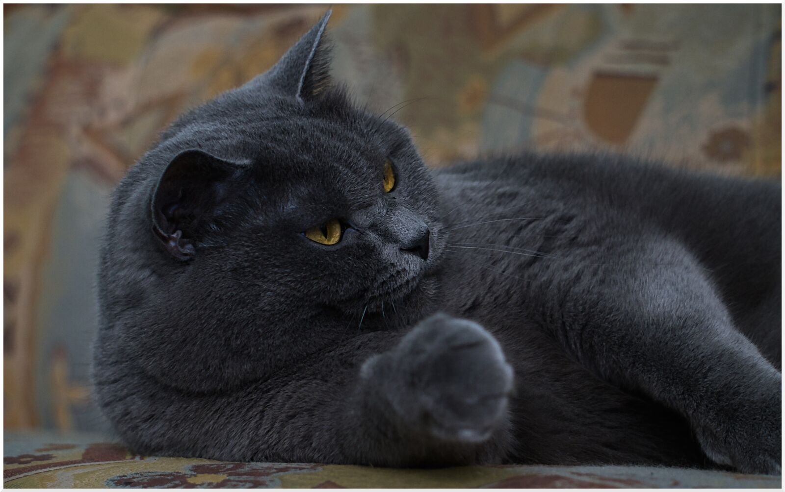 Sony a6100 + 55-210mm F4.5-6.3 OSS a 70mm f5 1-20seg ISO 640