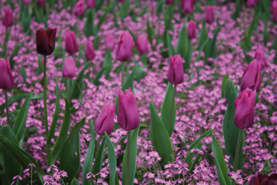 Tomada con la Canon EOS 4000D