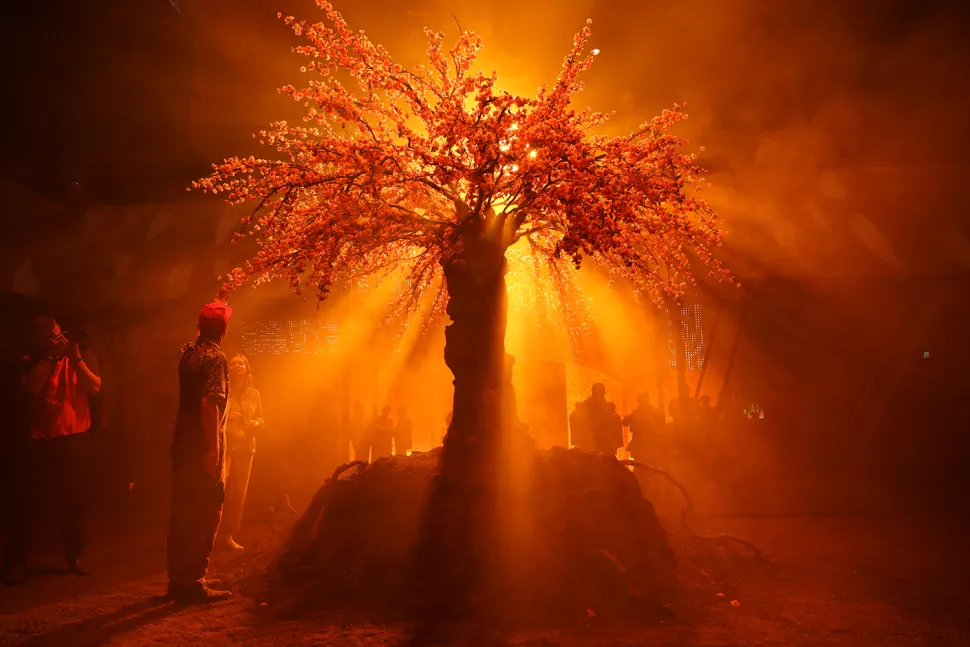 Tomada con la Canon EOS R