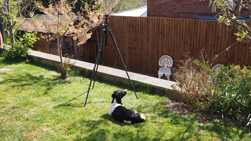 Mejor Trípode para Fotógrafos en 2023 14 Vanguard VEO 3T+ 264CB