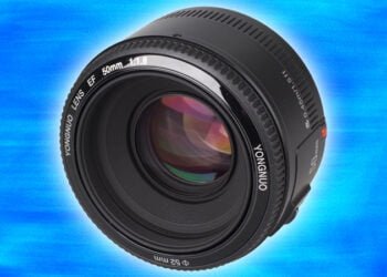 Yongnuo YN 50mm F1.8 Review