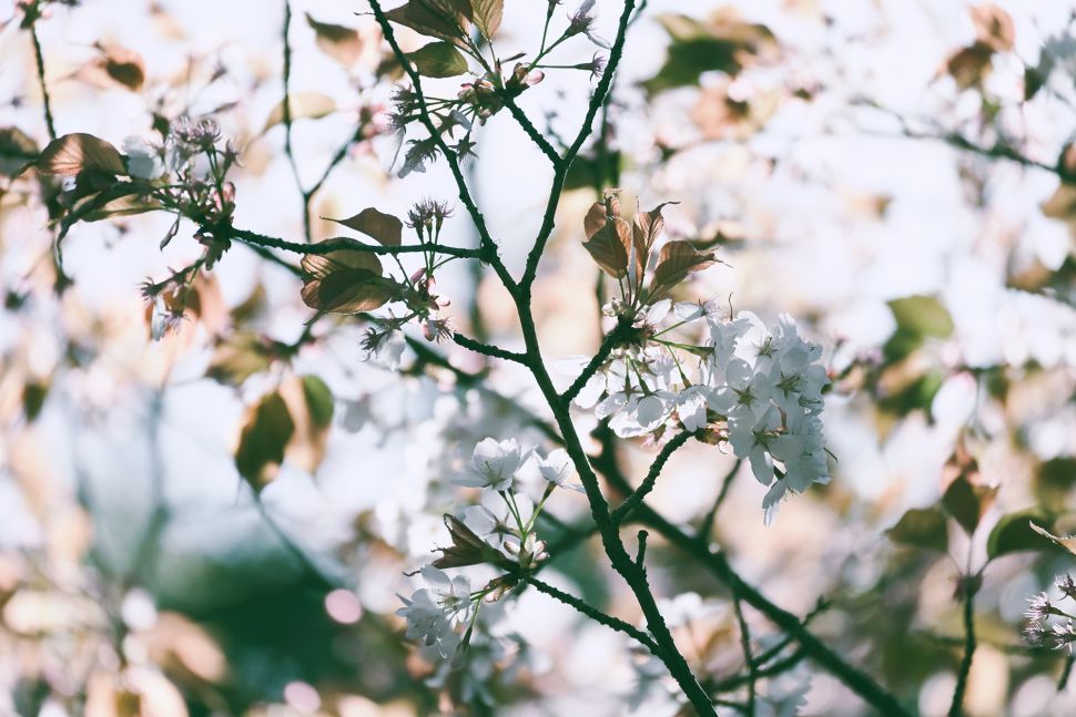 Nikon Z30 Review 13 tomada con la Nikon Z30