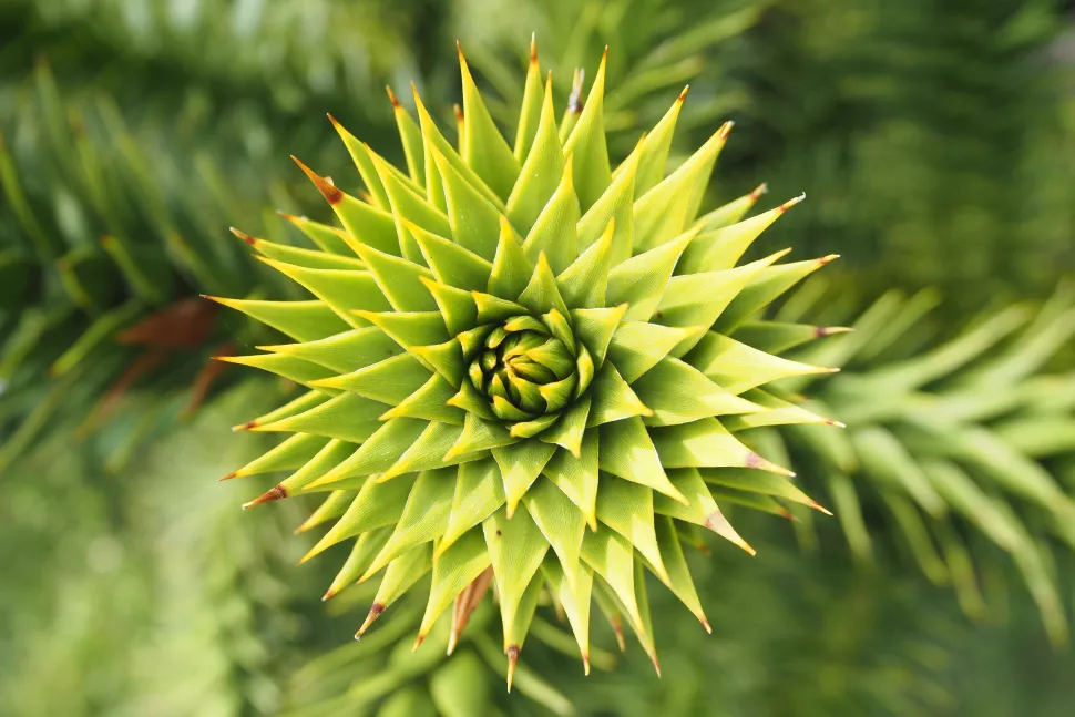 tomada con la Olympus OM-D E-M10 Mark IV